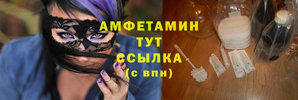 СК Алексин