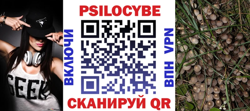 Псилоцибиновые грибы Psilocybine cubensis  закладка  площадка клад  Гаджиево 